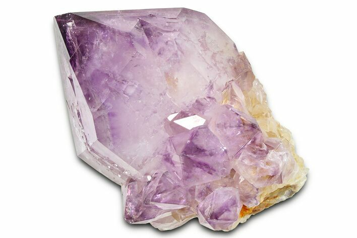 Cactus Quartz (Amethyst) Crystal - South Africa #371666